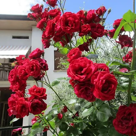 בית נופש Casa Italia, Center *