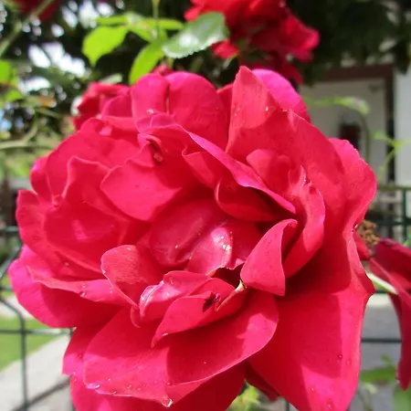 Σπίτι διακοπών Casa Italia, Center Σατσίλε