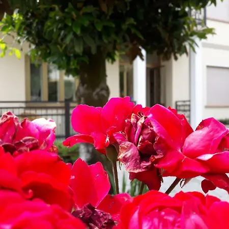 Casa Italia, Center * סאצ'ילה