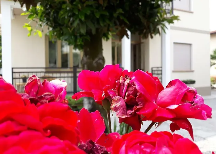 Casa Italia, Center * Sacile